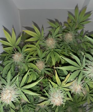 20221230_110022.jpg 20221230_110022.jpg