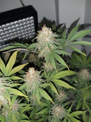 20221230_110115.jpg 20221230_110115.jpg