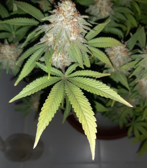 20221230_110045.jpg 20221230_110045.jpg