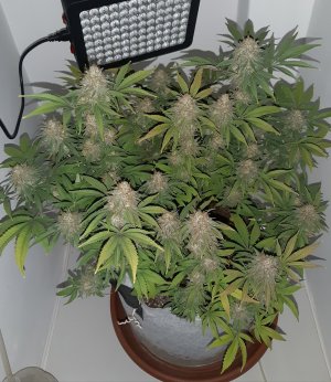 20221231_092723.jpg 20221231_092723.jpg