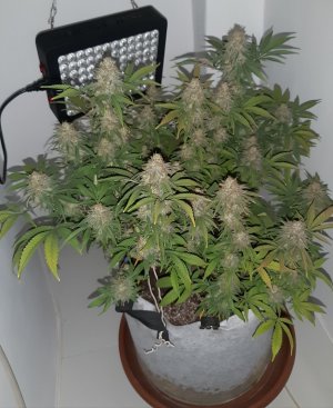 20221231_092704.jpg 20221231_092704.jpg