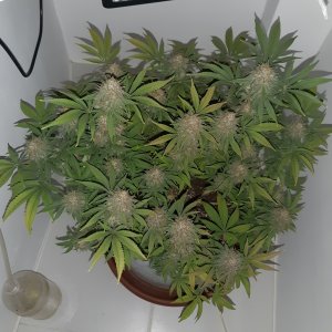 20221231_092628.jpg 20221231_092628.jpg