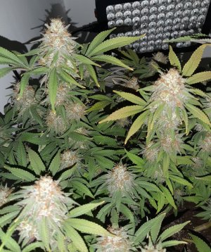 20221231_092607.jpg 20221231_092607.jpg