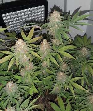 20221231_092554.jpg 20221231_092554.jpg