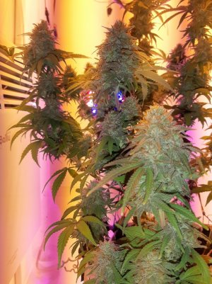 20221231_092525.jpg 20221231_092525.jpg