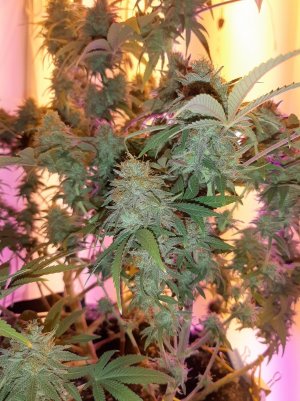 20221231_092508.jpg 20221231_092508.jpg