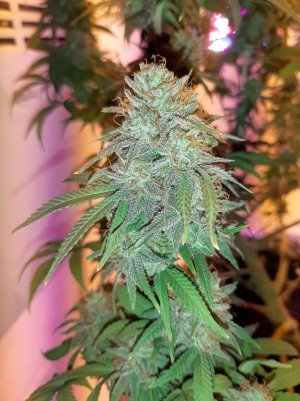 20221231_092439.jpg 20221231_092439.jpg