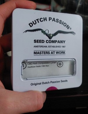 IMG_20221231_123958_354.jpg IMG_20221231_123958_354.jpg