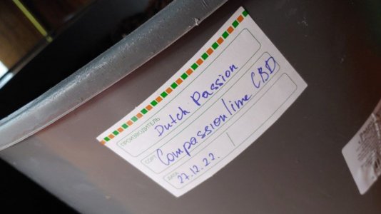 IMG_20221231_123051_836.jpg IMG_20221231_123051_836.jpg