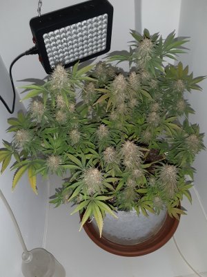 20221231_202542.jpg 20221231_202542.jpg