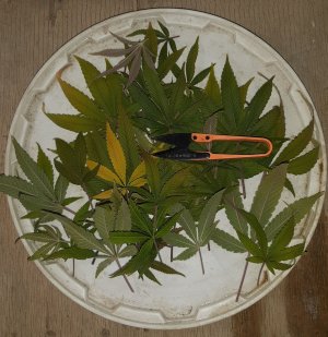 20221231_202554.jpg 20221231_202554.jpg