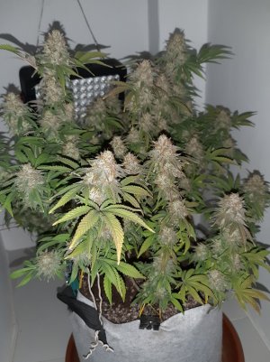 20221231_202435.jpg 20221231_202435.jpg