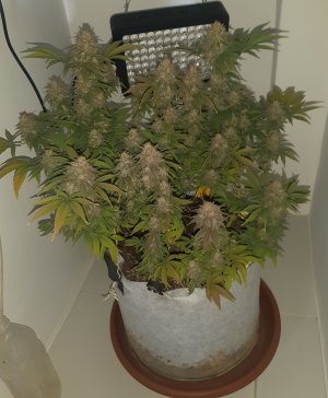 20230101_150204.jpg 20230101_150204.jpg