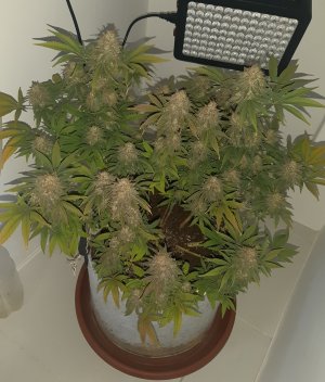 20230101_150104.jpg 20230101_150104.jpg