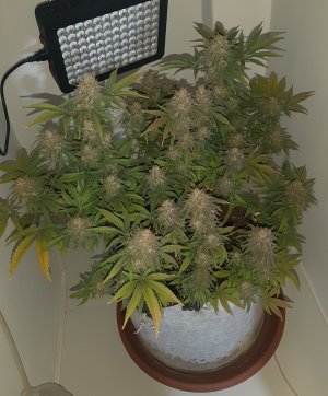 20230101_150042.jpg 20230101_150042.jpg