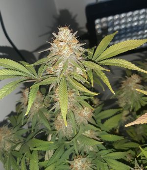 20230101_150225.jpg 20230101_150225.jpg