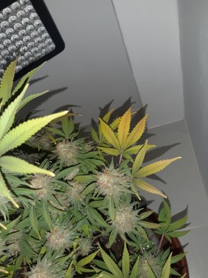 20230101_181005.jpg 20230101_181005.jpg