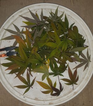 20230101_180728.jpg 20230101_180728.jpg