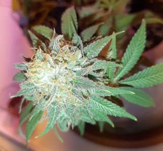 20230101_180842.jpg 20230101_180842.jpg