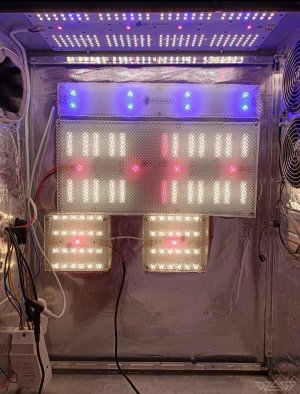 imgonline-com-ua-dexifSGxnS7XLEZ81.jpg.3fe2291b84155c53e5677c1d14cc943b.jpg imgonline-com-ua-dexifSGxnS7XLEZ81.jpg.3fe2291b84155c53e5677c1d14cc943b.jpg