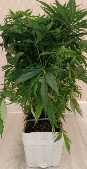 imgonline-com-ua-dexifUD2jRpG4yvIr.jpg imgonline-com-ua-dexifUD2jRpG4yvIr.jpg