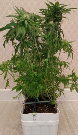 imgonline-com-ua-dexifnyjWfU5hBXsY.jpg imgonline-com-ua-dexifnyjWfU5hBXsY.jpg