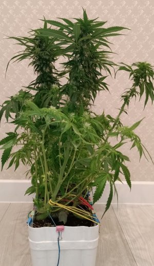 imgonline-com-ua-dexifI13iLR0kCnwN.jpg imgonline-com-ua-dexifI13iLR0kCnwN.jpg