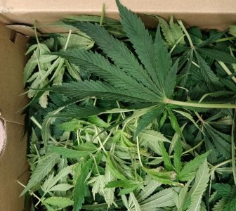 imgonline-com-ua-dexifvK2NAI6GVA96.jpg imgonline-com-ua-dexifvK2NAI6GVA96.jpg