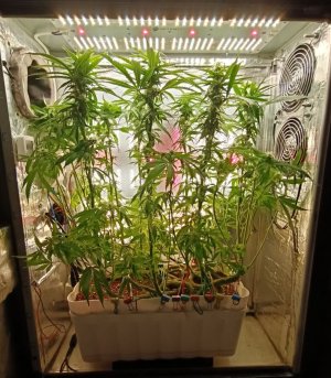 imgonline-com-ua-dexifri9xJMOS0vhD.jpg imgonline-com-ua-dexifri9xJMOS0vhD.jpg