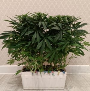 imgonline-com-ua-dexifgNAoiZFDRsSr.jpg imgonline-com-ua-dexifgNAoiZFDRsSr.jpg