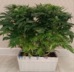 imgonline-com-ua-dexifd4IrGbCgM2wB.jpg imgonline-com-ua-dexifd4IrGbCgM2wB.jpg