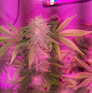 20230102_121109.jpg 20230102_121109.jpg