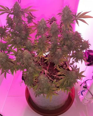 20230102_124020.jpg 20230102_124020.jpg