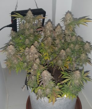 20230102_123929.jpg 20230102_123929.jpg