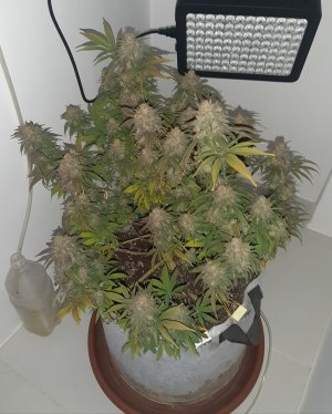 20230102_123905.jpg 20230102_123905.jpg