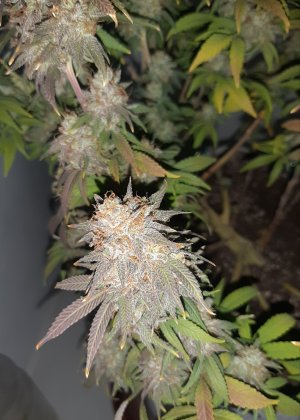 20230102_123806.jpg 20230102_123806.jpg