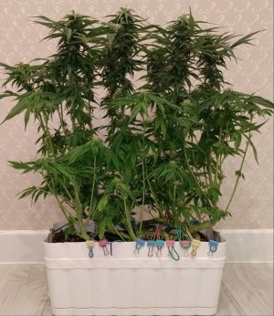 imgonline-com-ua-dexifJYC9UZYKDs3H.jpg imgonline-com-ua-dexifJYC9UZYKDs3H.jpg