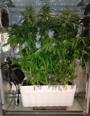 imgonline-com-ua-dexifJxcAX7qUnmdt.jpg imgonline-com-ua-dexifJxcAX7qUnmdt.jpg