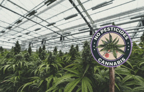 1673176583569.png 1673176583569.png