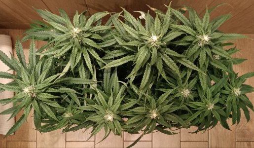 imgonline-com-ua-dexifSDIP1REgnUgb.jpg imgonline-com-ua-dexifSDIP1REgnUgb.jpg