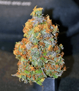 1625334996324.png 1625334996324.png