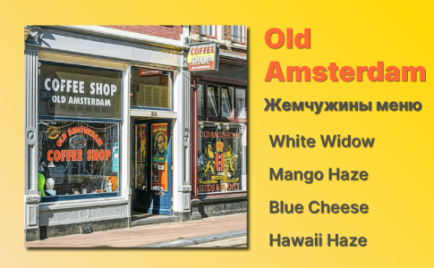Кофешоп Амстердам Old Amsterdam Кофешоп Амстердам Old Amsterdam