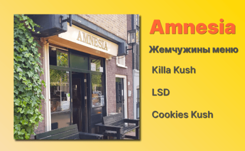 Кофешоп Амстердам Amnesia Кофешоп Амстердам Amnesia