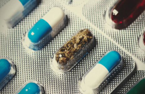 1631037846065.png 1631037846065.png