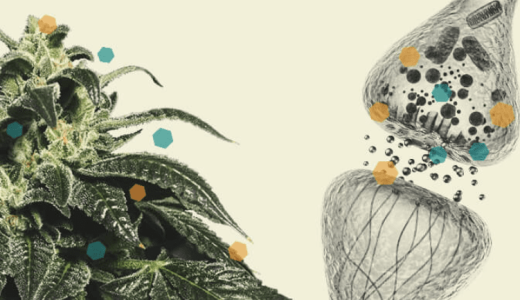 1631037981766.png 1631037981766.png