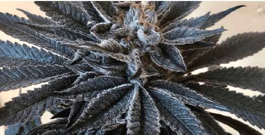 1631867328952.png 1631867328952.png