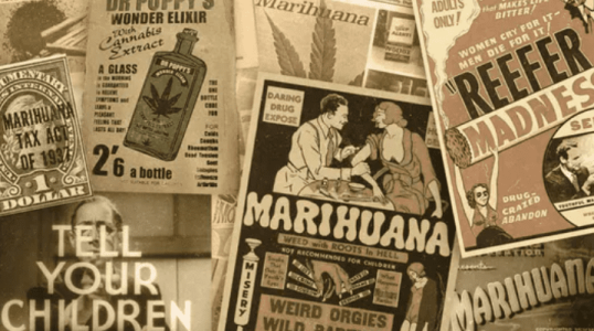 1633268345331.png 1633268345331.png