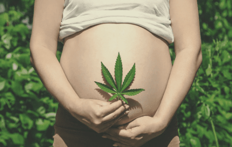 1633533517524.png 1633533517524.png