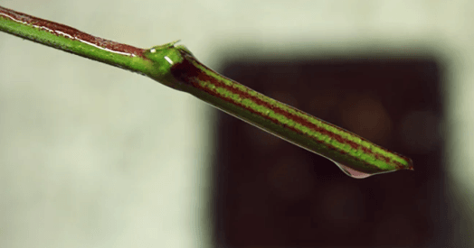 1673462160369.png 1673462160369.png