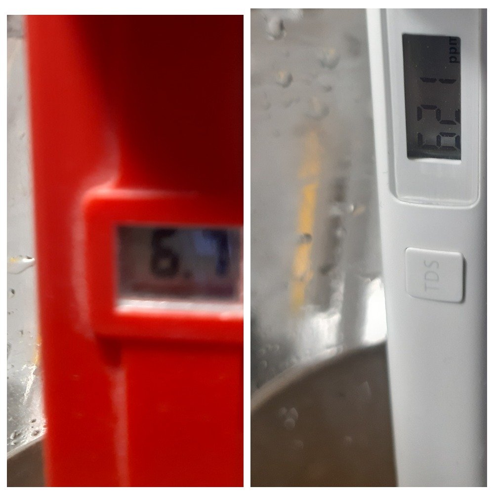 MyCollages.jpg MyCollages.jpg